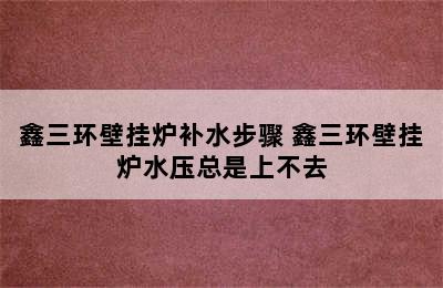 鑫三环壁挂炉补水步骤 鑫三环壁挂炉水压总是上不去